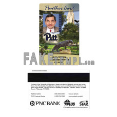 USA The University of Pittsburgh fake Student ID card, Panther card photoshop template PSD