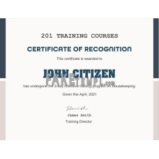 USA fake Training Course certificate template in Word and PDF format