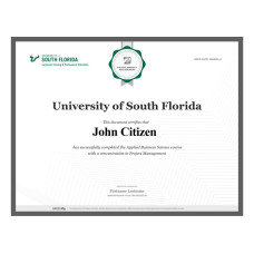 USA University of South Florida fake diploma photoshop template PSD