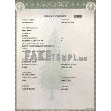 USA Washington state fake birth certificate photoshop template PSD 