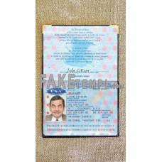 USA fake passport photolook template PSD, scan and photo-realistic look, download 2 in 1, pre 2007