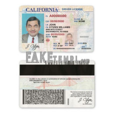 USA state California fake driving license photoshop template PSD