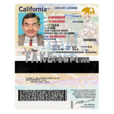 USA state California fake driving license photoshop template PSD