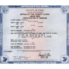 USA state Illinois fake marriage certificate photoshop template PSD 