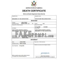 USA vital record fake death certificate Word and PDF template