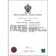 United Kingdom Swansea university fake diploma photoshop template PSD