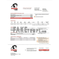 Angola LNG fake utility bill Word and PDF template