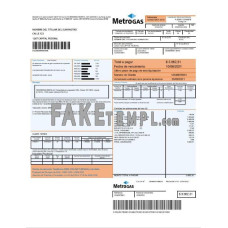 Argentina Metrogas fake utility bill Word and PDF template