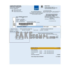 Argentina fake water utility bill Word and PDF template