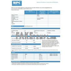 Barbados National Petroleum Corporation of Barbados gas fake utility bill Word and PDF template