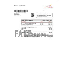 Belgium Luminus fake utility bill Word and PDF template