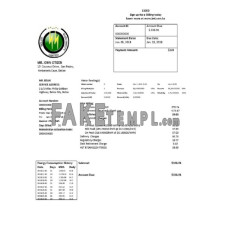 Belize Electricity Limited fake electricity utility bill Word and PDF template