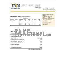 Bolivia ENDE Corporacion fake electricity utility bill Word and PDF template