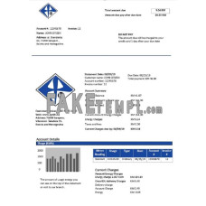 Bosnia and Herzegovina Elektroprivreda BiH fake electricity utility bill Word and PDF template