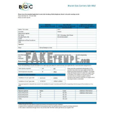 Brunei Gas Carriers gas fake utility bill Word and PDF template