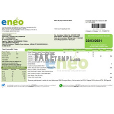 Cameroon ENEO fake electricity utility bill Word and PDF template (current version)