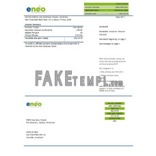 Cameroon ENEO fake electricity utility bill Word and PDF template