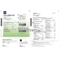 Canada Epcor fake electricity utility bill Word and PDF template, 3 pages