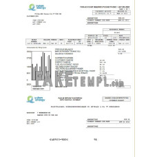 Canada Yukon Energy fake utility bill Word and PDF template