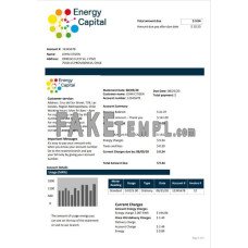 Chile Energy Capital fake utility bill Word and PDF template