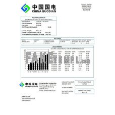 China Guodian Corporation fake utility bill Word and PDF template