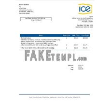 Costa Rica Costa Rican Institute of fake electricity utility bill Word and PDF template