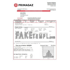 Denmark Primagaz Denmark gas fake utility bill Word and PDF template