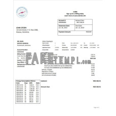 Dominica Electricity Services Limited fake electricity utility bill Word and PDF template