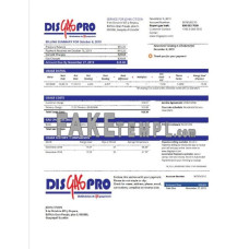 Ecuador Disgaspro gas fake utility bill Word and PDF template