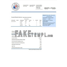 Egypt Egyptian fake electricity utility bill Word and PDF template