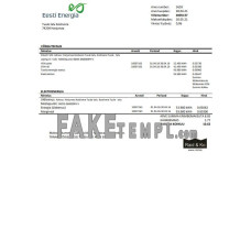 Estonia Eesti Energia fake electricity utility bill Word and PDF template