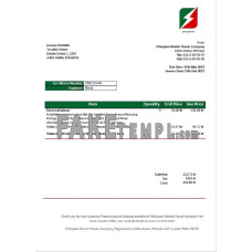 Ethiopia Ethiopian Electric Power Company fake electricity utility bill Word and PDF template