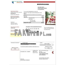 France Gaz de France Dolcevita fake utility bill Word and PDF template