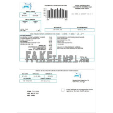 Georgia RWC fake water utility bill Word and PDF template