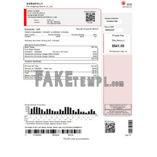 Hong Kong Hongkong Electric Company fake utility bill Word and PDF template