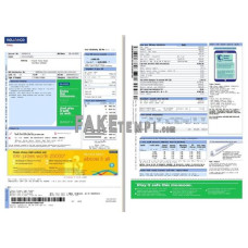 India Reliance Energy fake utility bill Word and PDF template