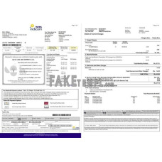 India Tata Indicom mobile fake utility bill Word and PDF template 2 pages