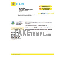 Indonesia PLN fake electricity utility bill Word and PDF template