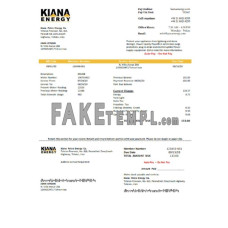 Iran Kiana Petro Energy Co fake utility bill Word and PDF template