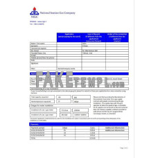 Iran National Iranian Gas Company gas fake utility bill Word and PDF template