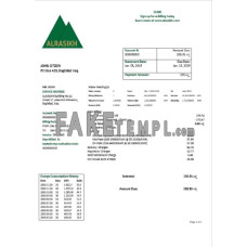 Iraq AlRasikh fake electricity utility bill Word and PDF template