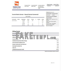 Israel Electric Corporation fake utility bill Word and PDF template