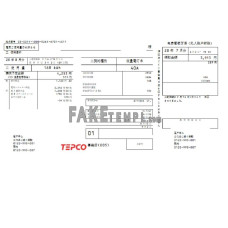 Japan Tokyo Electric Power Company (TEPCO) fake electricity utility bill Word and PDF template