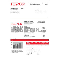 Japan Tokyo Electric Power Company fake electricity utility bill Word and PDF template