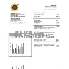 Laos Electricite du Laos fake electricity utility bill Word and PDF template