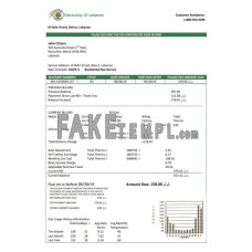 Lebanon Electricity of Lebanon fake utility bill Word and PDF template