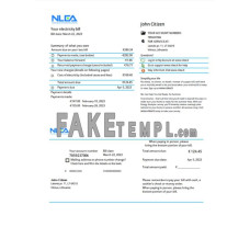 Lithuania National Lithuanian Energy Association fake utility bill Word and PDF template