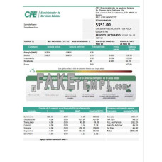 Mexico Electricity CFE fake utility bill Word and PDF template