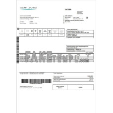 Moldova Gas fake utility bill Word and PDF template