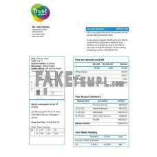 New Zealand Trustpower fake utility bill Word and PDF template